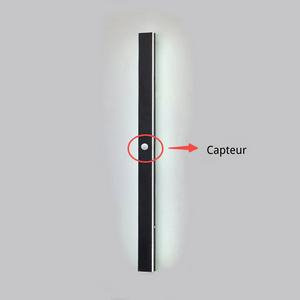 Elune Applique Murale Extérieur LED Étanche Minimaliste Métal Cour - Neutralighting